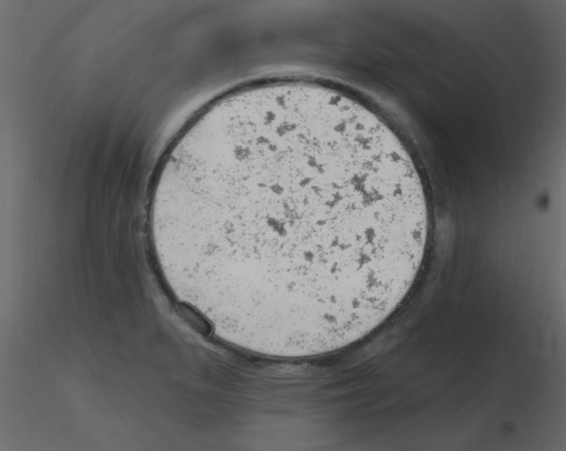 X0000115771279200912241742