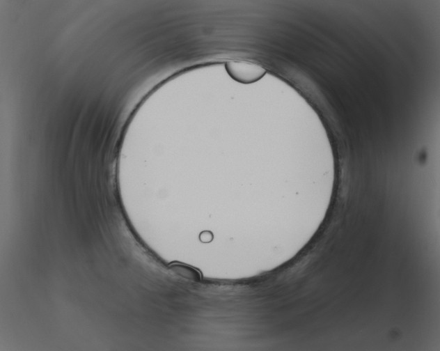 X0000115771284200912241742