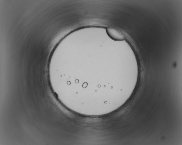 X0000115771285200912241742