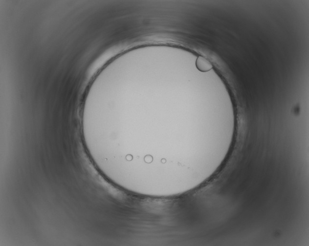 X0000115771286200912241742
