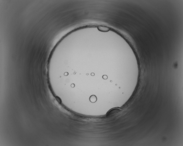 X0000115771287200912241742