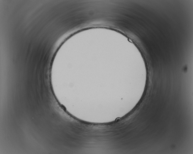 X0000115771288200912241742