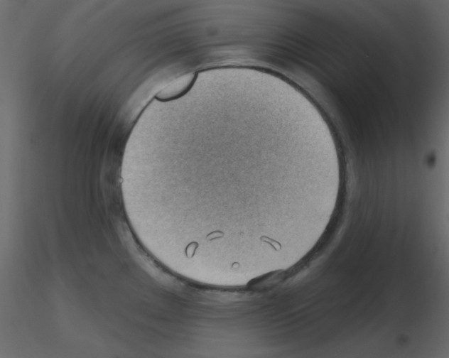 X0000115771289200912241742