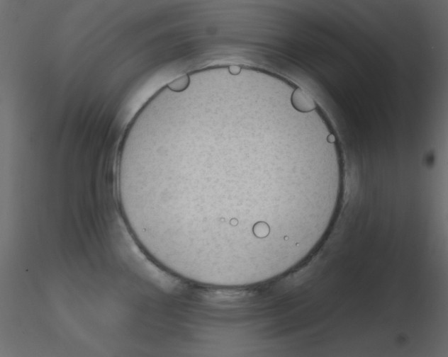 X0000115771290200912241742
