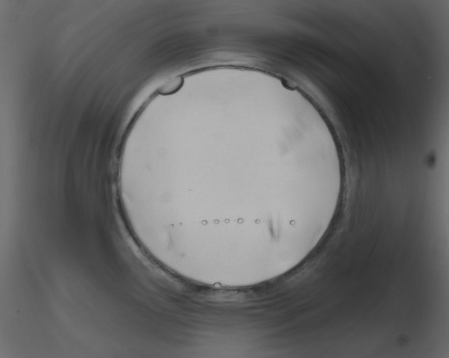 X0000115771291200912241742