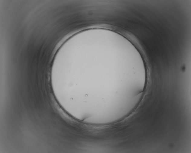 X0000115771292200912241742
