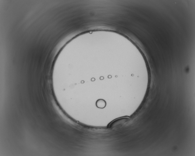 X0000115771293200912241742