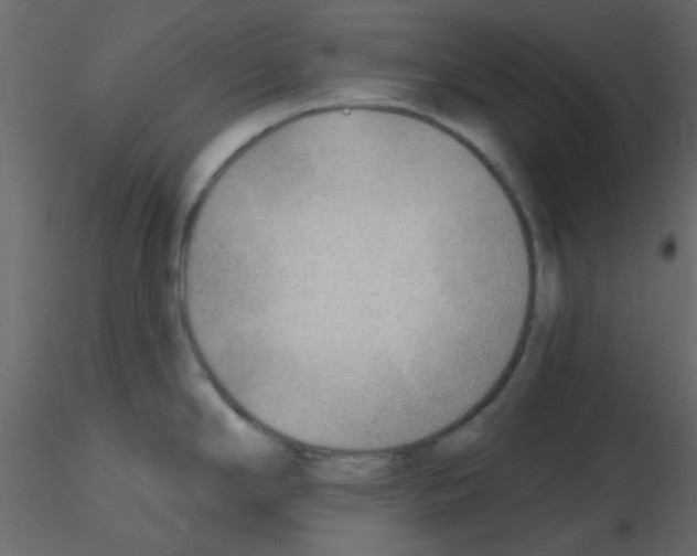 X0000115771294200912241742