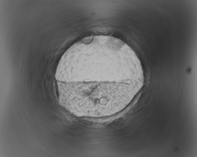 X0000115771297200912241741