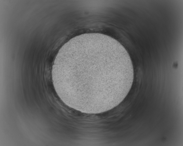 X0000115771298200912241741