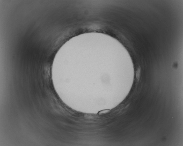 X0000115771299200912241741