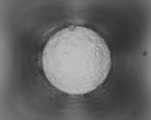X0000115771301200912241741