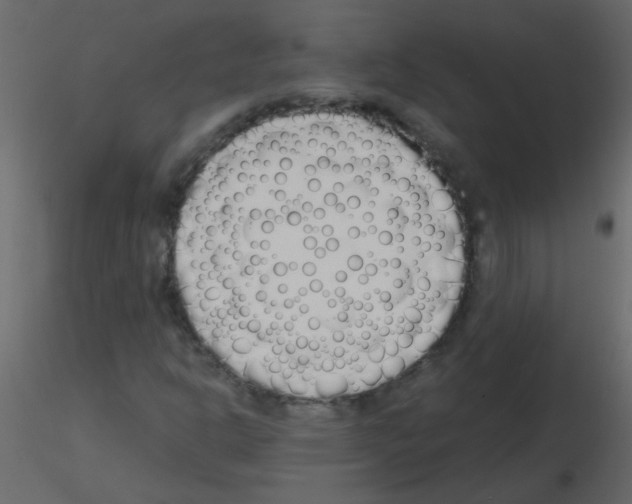 X0000115771302200912241741