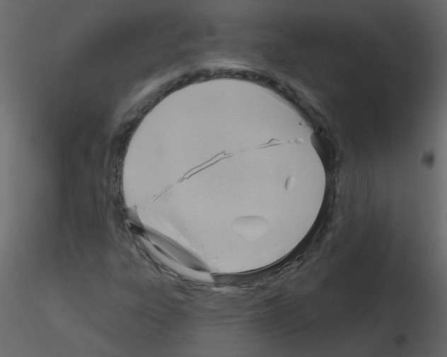 X0000115771303200912241741