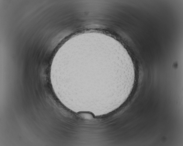 X0000115771305200912241741