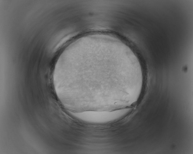 X0000115771306200912241741