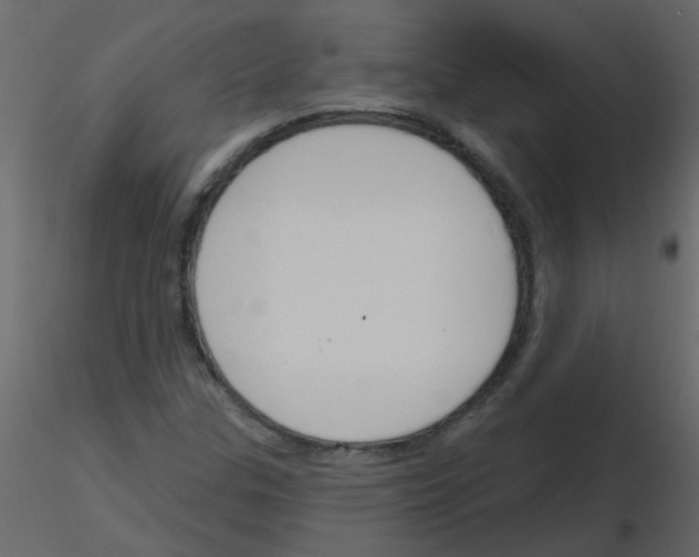 X0000115771307200912241741
