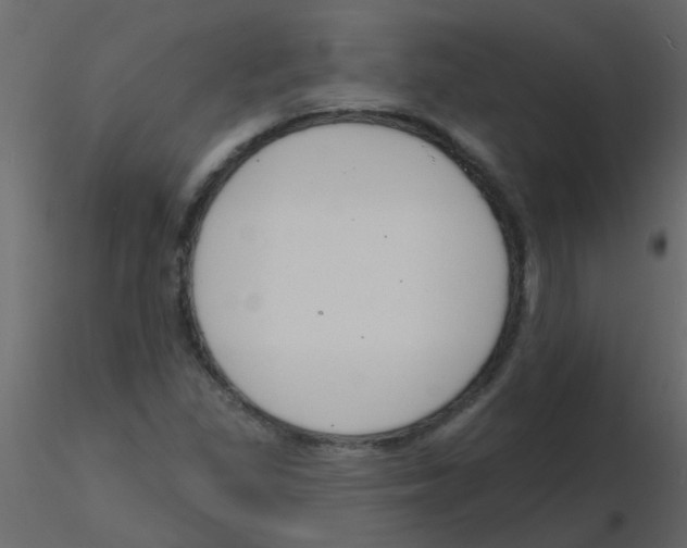 X0000115771309200912241741