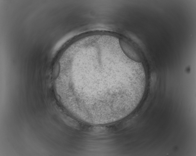 X0000115771310200912241741