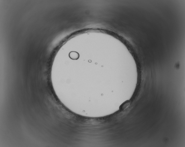 X0000115771311200912241741