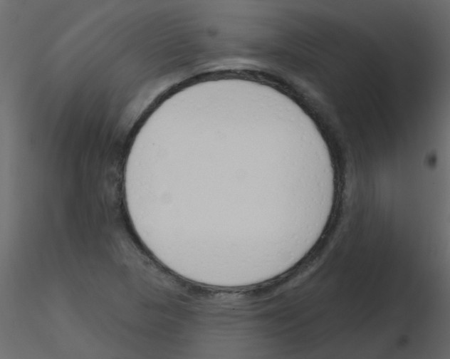 X0000115771313200912241741