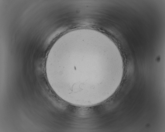 X0000115771314200912241741