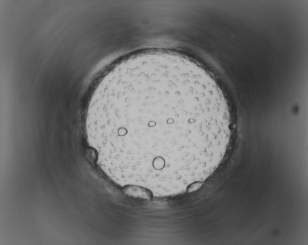 X0000115771315200912241741
