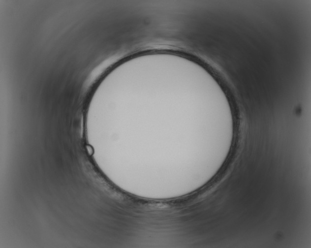 X0000115771317200912241741