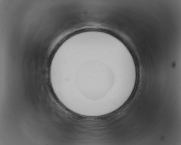 X0000115771318200912241741