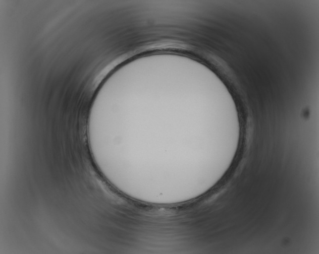 X0000115771321200912241741