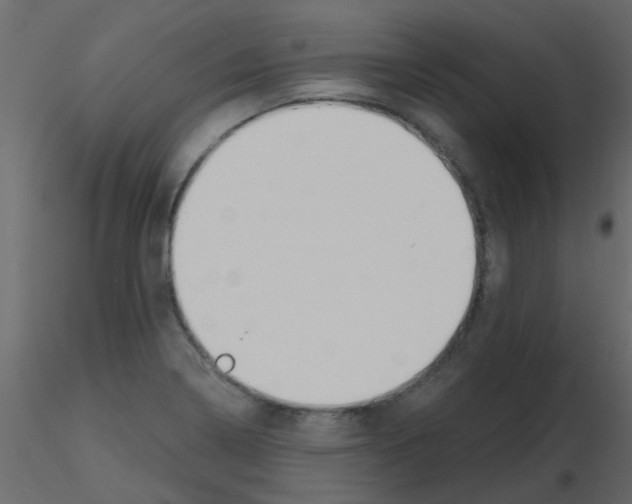 X0000115771322200912241741