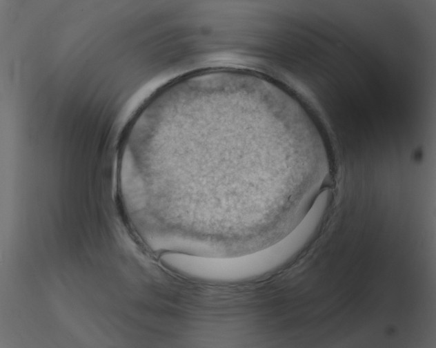 X0000115771323200912241742