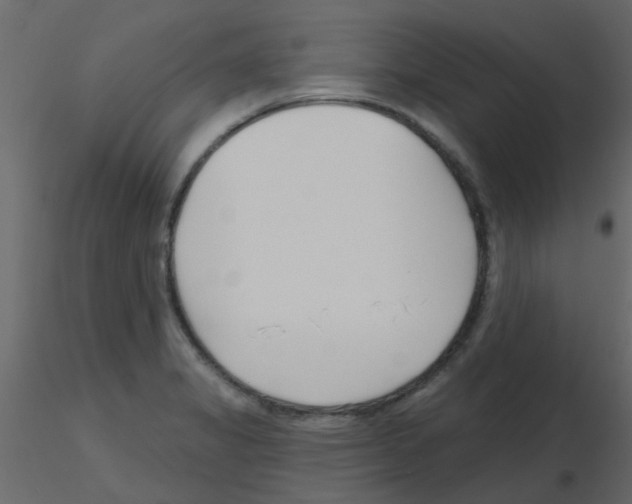 X0000115771325200912241742