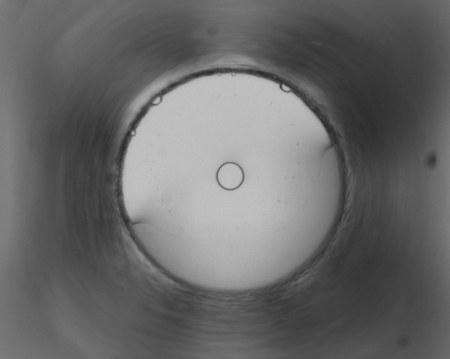 X0000115771326200912241742
