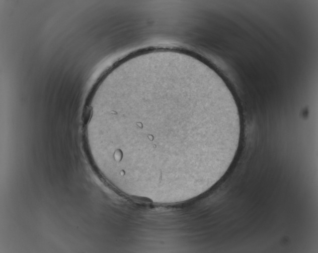 X0000115771327200912241742