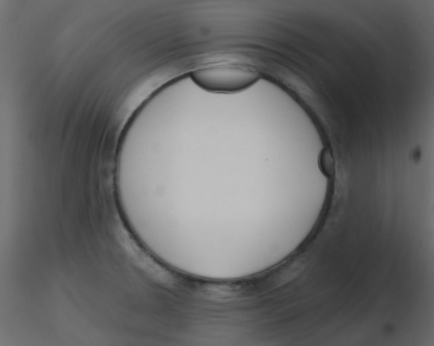X0000115771330200912241742