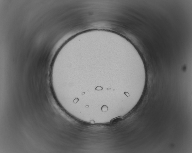 X0000115771331200912241742