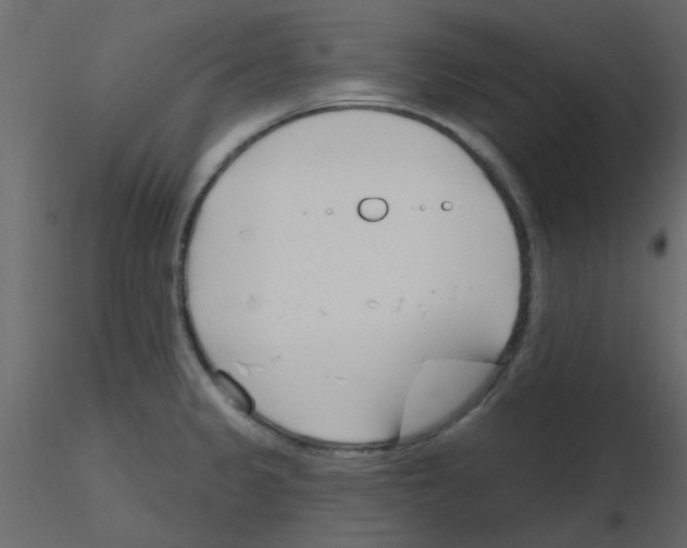 X0000115771333200912241742