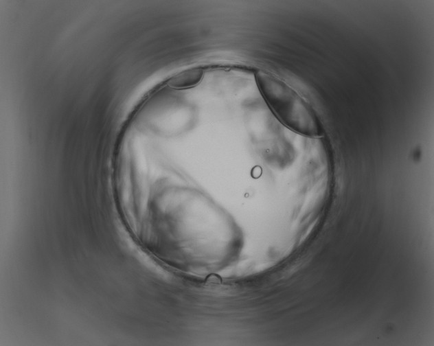 X0000115771334200912241742