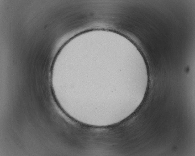 X0000115771335200912241742