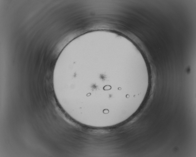 X0000115771337200912241742