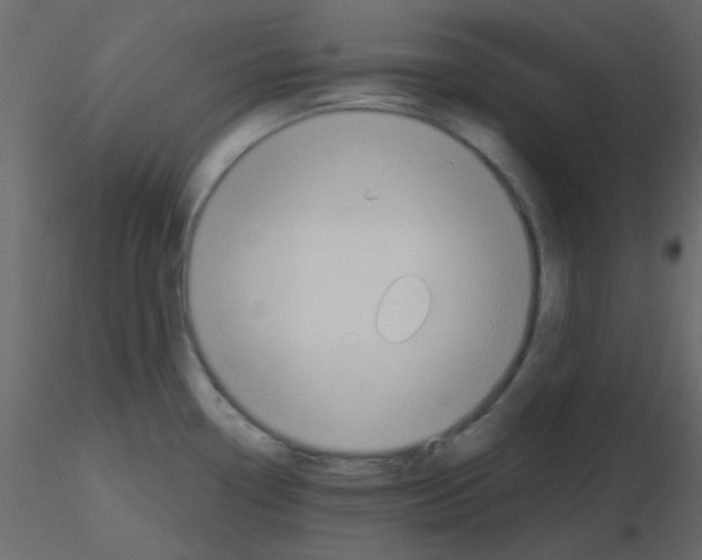 X0000115771338200912241742