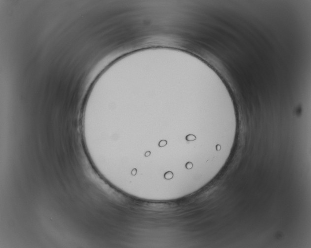 X0000115771339200912241742