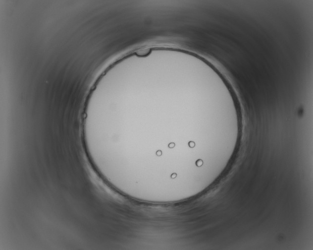 X0000115771341200912241742