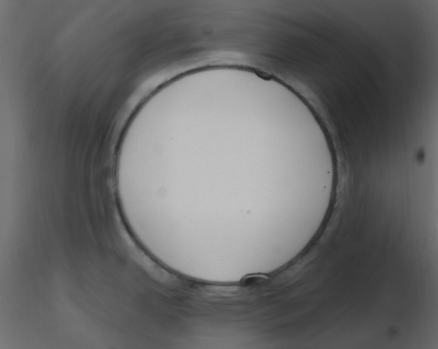 X0000115771342200912241742