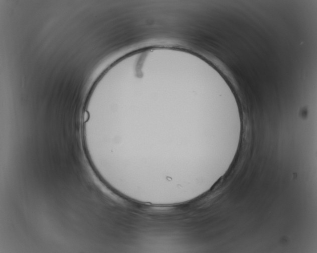 X0000115771343200912241742