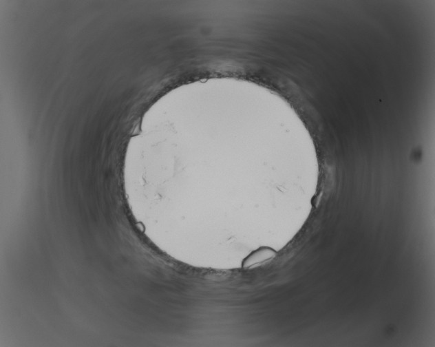 X0000115771345200912241741