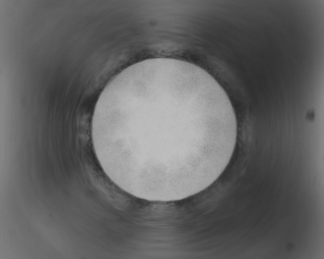 X0000115771346200912241741