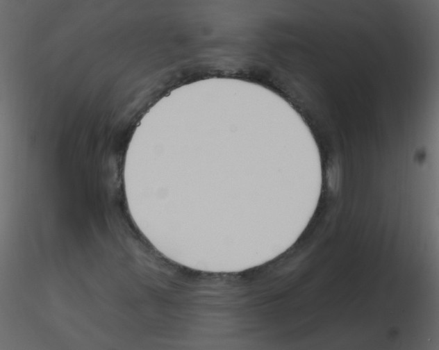 X0000115771347200912241741