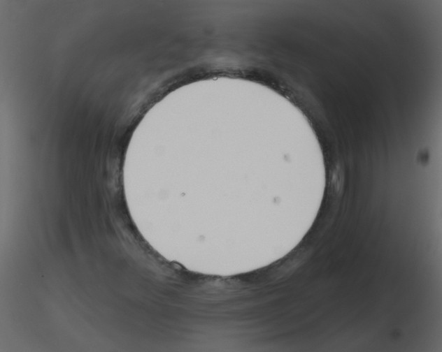 X0000115771348200912241741